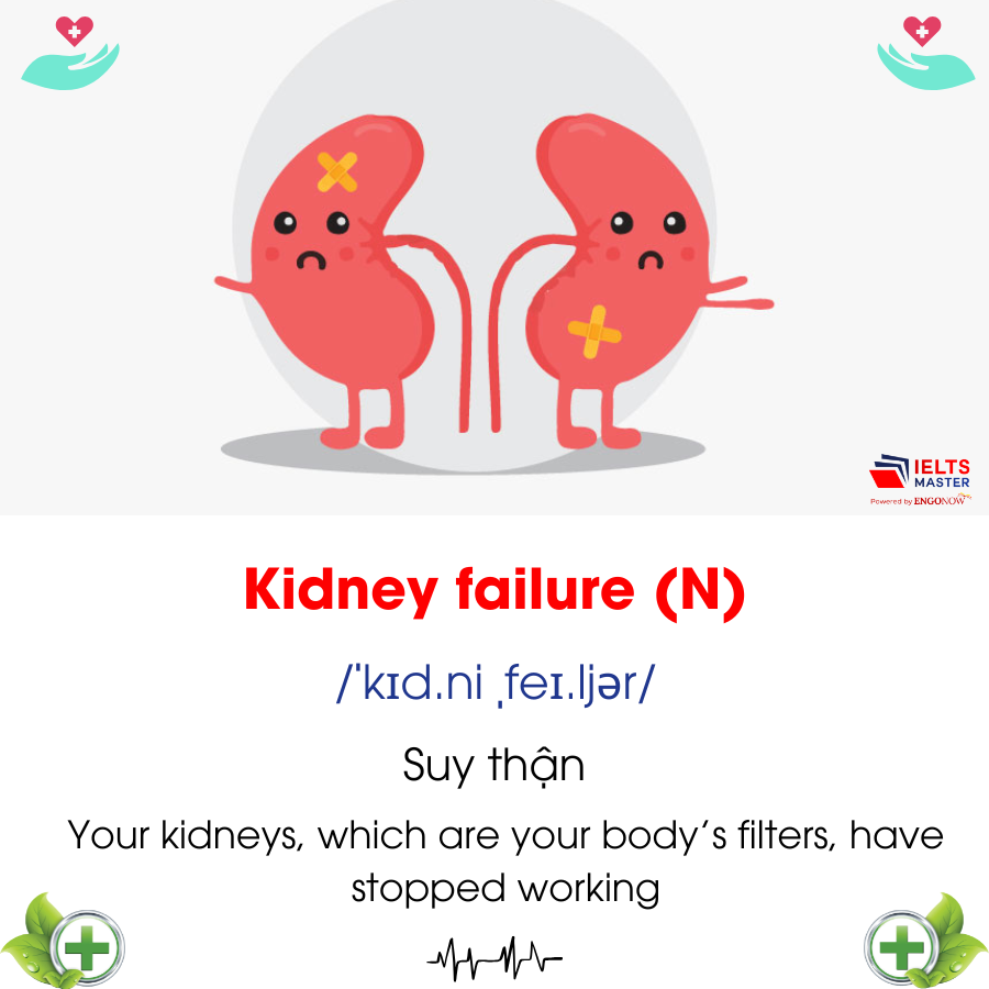 Word of the day: kidney failure