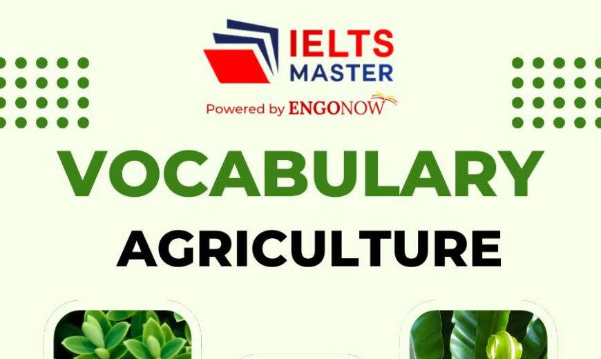 Vocabulary Agriculture